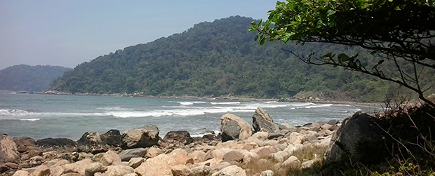 Você está visualizando atualmente SMA celebra Dia Mundial pela Limpeza das Praias e Rios