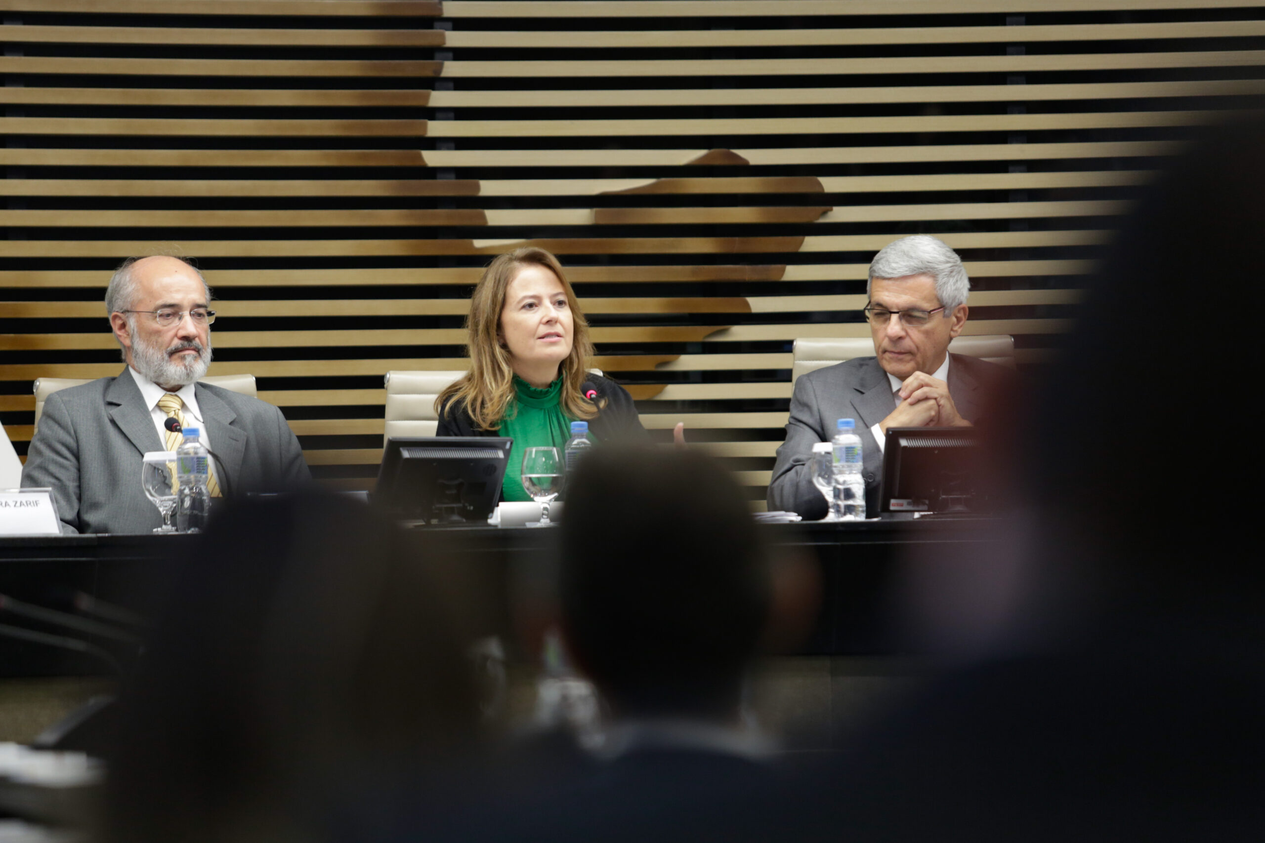 Leia mais sobre o artigo CETESB participa de debate com instituições voltadas ao ambiente