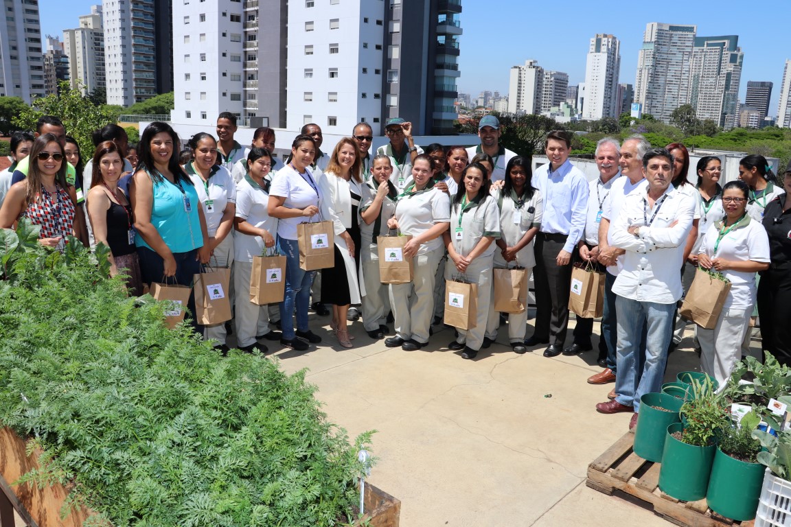 Você está visualizando atualmente Primeira colheita da Horta Solidária