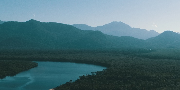 Leia mais sobre o artigo NOTA FUNDAÇÃO FLORESTAL –  ESTAÇÃO ECOLÓGICA JUREIA ITATINS