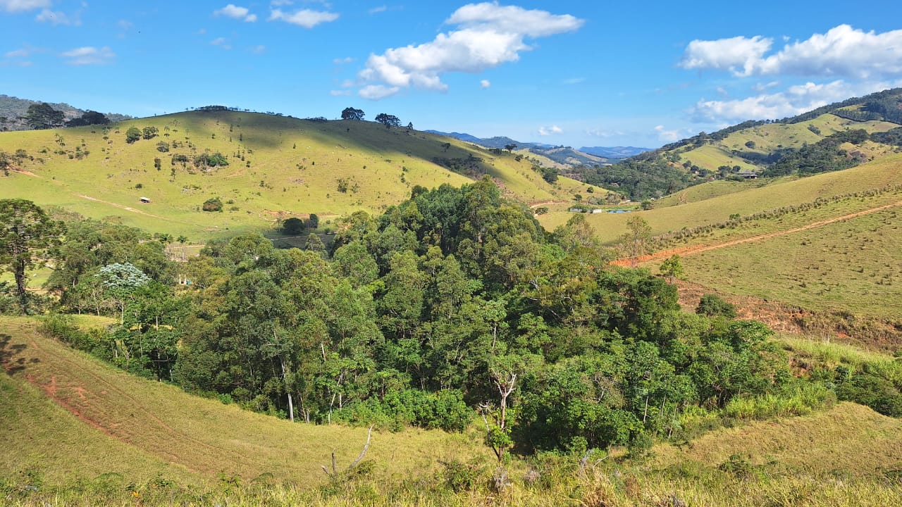 Você está visualizando atualmente Projetos de restauração em Joanópolis recuperam 64 hectares de mata nativa